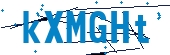 recaptcha